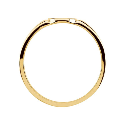 Modern 10K Yellow Gold Oval Signet Ring – Brushed Finish & Engravable