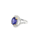 18k White Gold Oval Tanzanite and Diamond Double Halo Ring