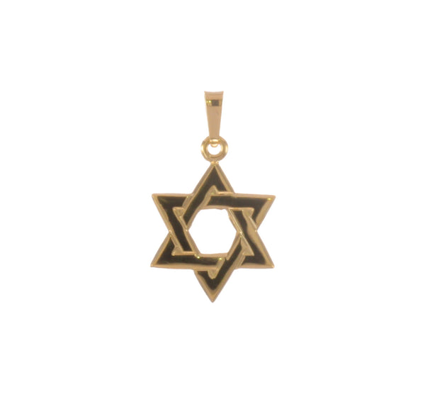 14KY Gold Star of David Pendant