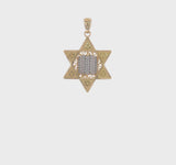 14k Two-tone Star of David Pendant